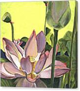 Citron Lotus 2 Canvas Print