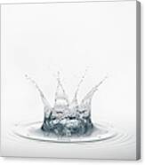 Clean Water Splash Canvas Print