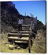 Climbing Mount Vesuvius Canvas Print