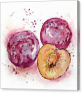 Close Up Of Three Plums Canvas Print