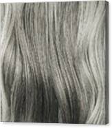 Close Up Of Wavy, Long, Silver Gray Hair. Canvas Print