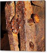 Close Up Rusty Clamp Canvas Print