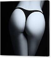 Closeup Of Sexy Woman Butt In Black Thongs Black And White Canvas Print