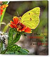Cloudless Sulphur Butterfly And Scripture Canvas Print