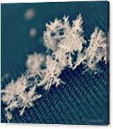 Cluster Of Snowflakes Canvas Print