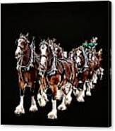 Clydesdales Hitch Canvas Print
