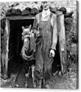 Coal Miner & Mule 1940 Canvas Print