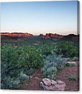 Coconino National Forest Canvas Print