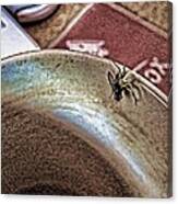 Coffee Cup Spider Fly Oh My Canvas Print