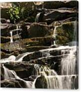 Coker Creek Cascades Canvas Print