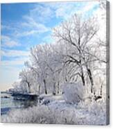 Cold Frosty Morning Canvas Print
