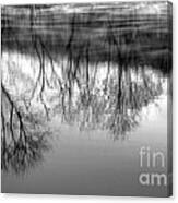 Cold Reflection Canvas Print