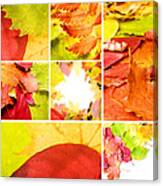 Collage Colorful Canvas Print