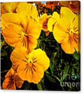 Color Me Yellow Canvas Print