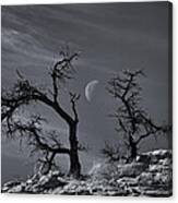 Colorado National Monument Moonrise Canvas Print