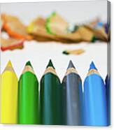 Colored Pencils Canvas Print