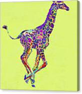 Colorful Baby Giraffe Canvas Print