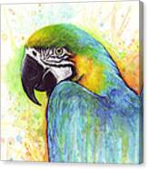 Macaw Watercolor Canvas Print