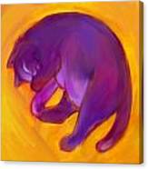 Colorful Cat 5 Canvas Print