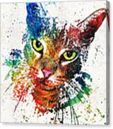 Colorful Cat Art By Sharon Cummings Canvas Print