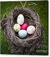 Colorful Eggs In Nest Canvas Print