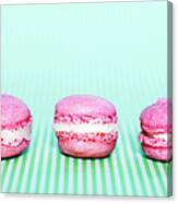 Colorful Macaroons Canvas Print