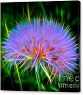 Colorful Puffball Canvas Print