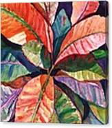 Colorful Tropical Leaves 1 Canvas Print