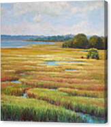 Colors In The Marsh Canvas Print