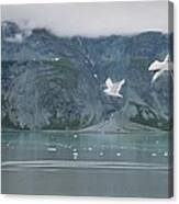 Colors Of Alaska - Glacier Bay Canvas Print