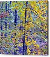 Colors Of Autumn Canvas Print