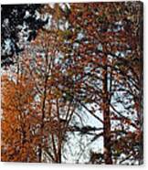 Colors Of Autumn Canvas Print