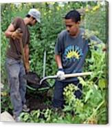 Community Garden Volunteers Canvas Print