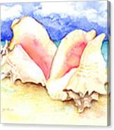 Conch Shells On Beach Canvas Print