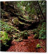 Conkles Hollow Gorge Canvas Print