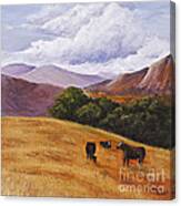 Contented Cows Canvas Print