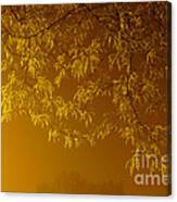 Copper Leaves In Fog Canvas Print