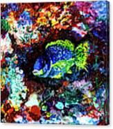 Coral Reef Life In The Ocean Canvas Print