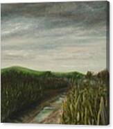 Corn Field Canvas Print