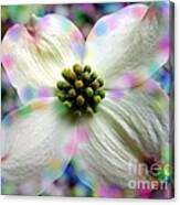 Cotton Candy Flower Canvas Print