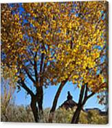 Cottonwood And Nipple Butte-v Canvas Print