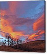 Cottonwood Sunset Canvas Print