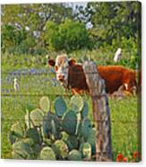 Country Friends Canvas Print