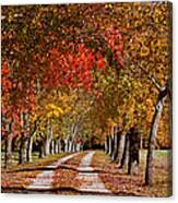Country Lane In Autumn Canvas Print