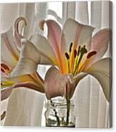 Country Lilies Canvas Print