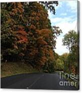 Country Road In Autumn Canvas Print