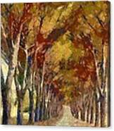 Country Road In Autumn Canvas Print