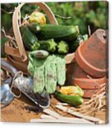 Courgette Basket With Garden Tools Canvas Print