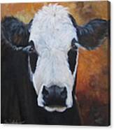 Cow Painting - Tess Canvas Print