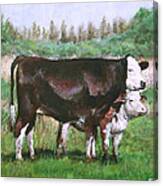 Cows In Field Demo Small Painting Canvas Print